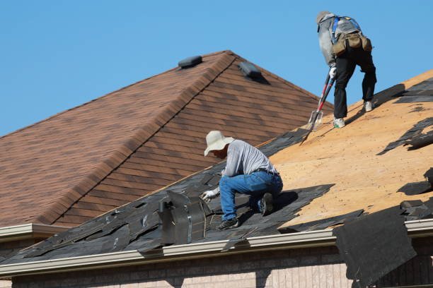 Best Gutter Installation and Repair  in Gregory, TX